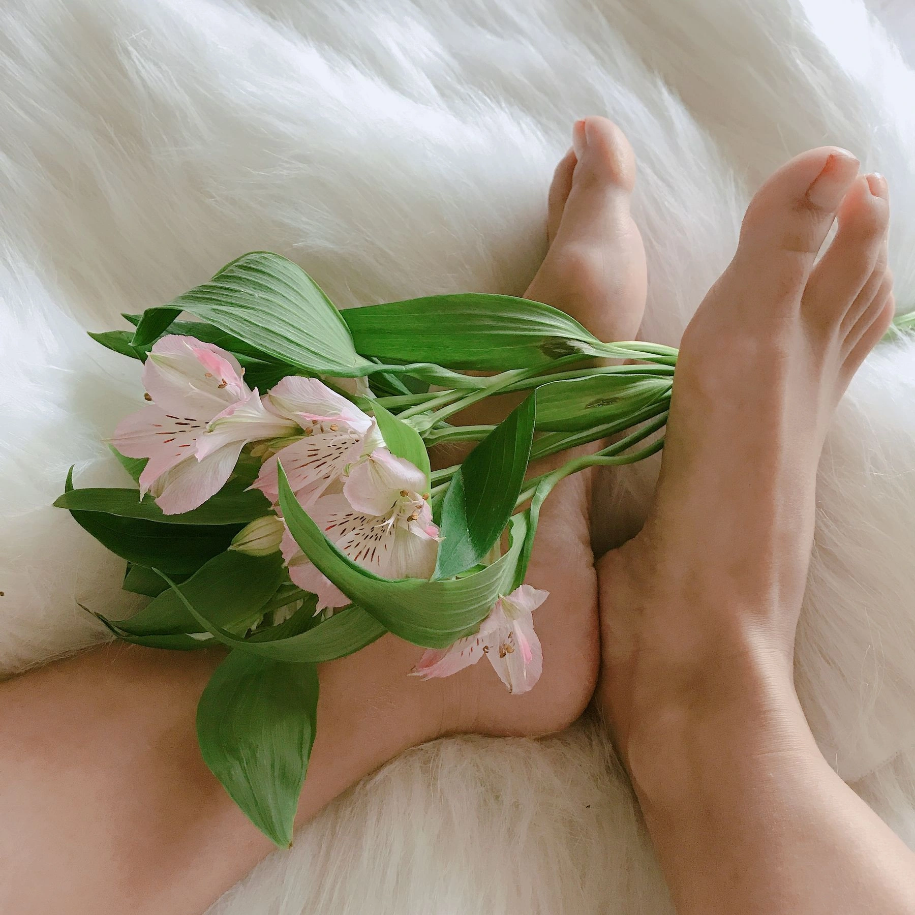 微密圈 安乔乔儿(Nia乔乔) No.006 学姐来了